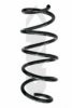 SPIDAN 86894 Coil Spring